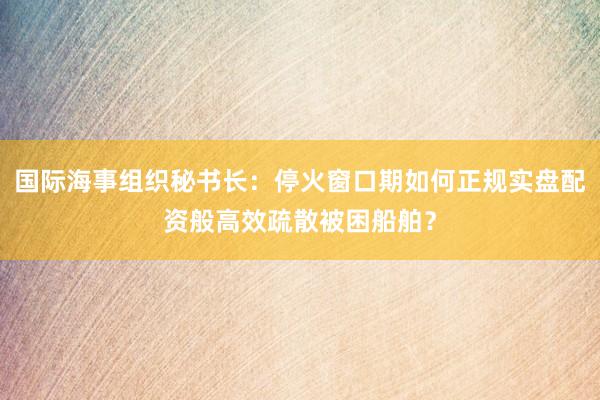 国际海事组织秘书长：停火窗口期如何正规实盘配资般高效疏散被困船舶？