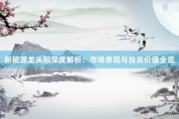 新能源龙头股深度解析：市场表现与投资价值全览