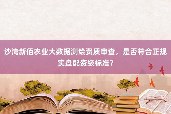沙湾新佰农业大数据测绘资质审查，是否符合正规实盘配资级标准？