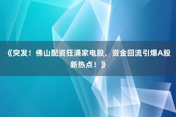 《突发！佛山配资狂涌家电股，资金回流引爆A股新热点！》