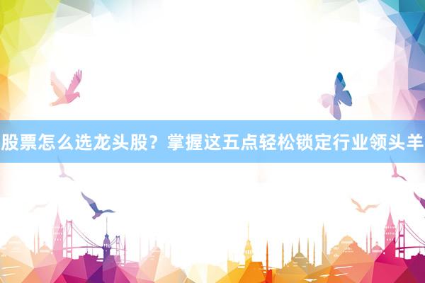 股票怎么选龙头股？掌握这五点轻松锁定行业领头羊