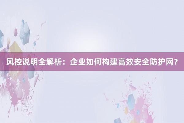 风控说明全解析：企业如何构建高效安全防护网？