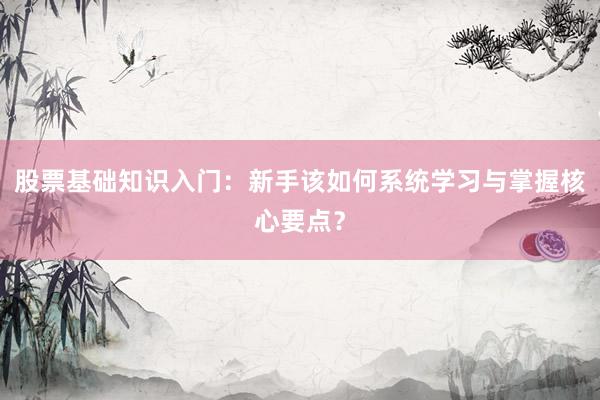 股票基础知识入门：新手该如何系统学习与掌握核心要点？